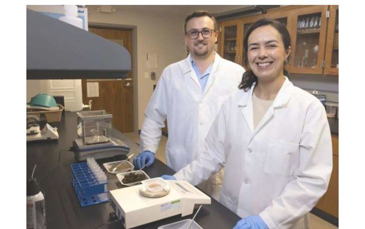 Удобрение из экскрементов черной львинки: революция в органическом земледелии