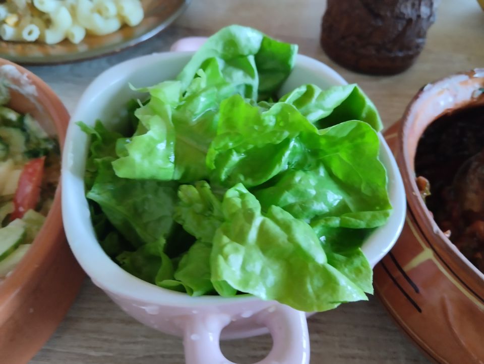 Овощи с огорода: девять любимых ингредиентов для вкусных блюд круглый год