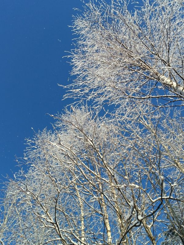 ��������� ����� �� ���������� ��������