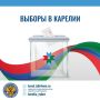 Завершилось голосование на досрочных выборах Главы Пайского сельского поселения