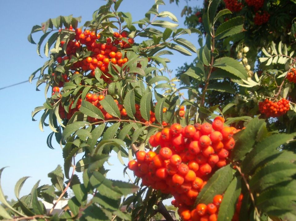 ������� ������ �����: �������� ����� ��� ������ ����