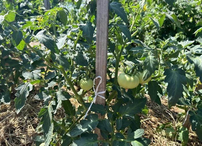 ��� ��� �������� ��������� ��������� ��������: ������� ��� �����������