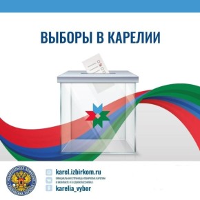 Подведены результаты голосования на досрочных выборах Главы Пайского сельского поселения