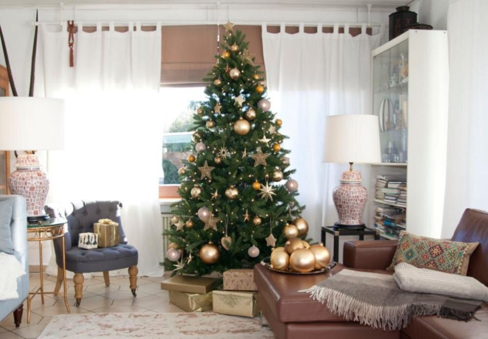 ��� ������� ����������� ��������� � ����� ���� ��� ������ ����