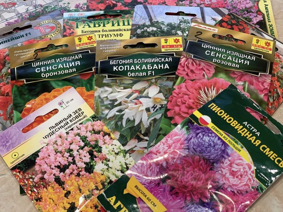 Как ускорить рост семян: секреты для быстрого цветения