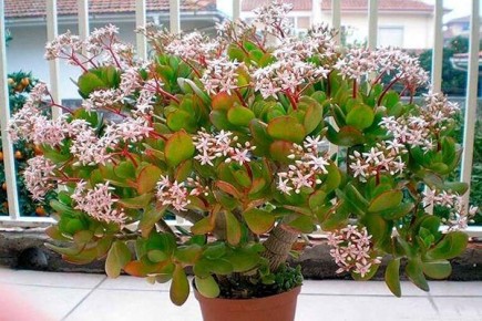 �������� ������: ��������, � ������� �� ����� ������