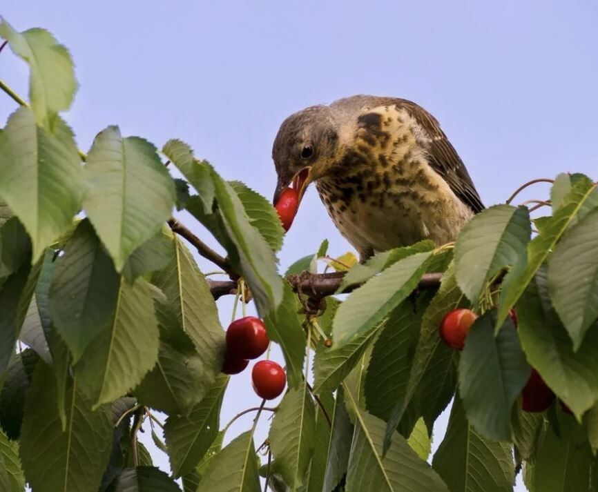 ����������� ������� ������ ����� �� ����, �� ������ ����� �������