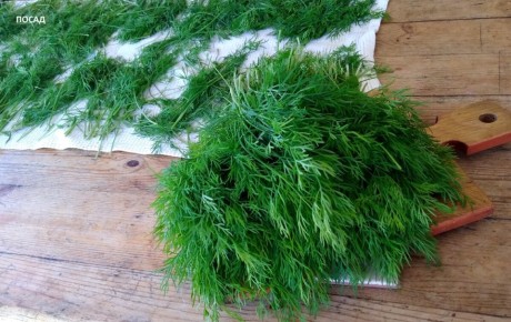 ��� ��������� ������ ���������� ��� ������ � ������ ���������