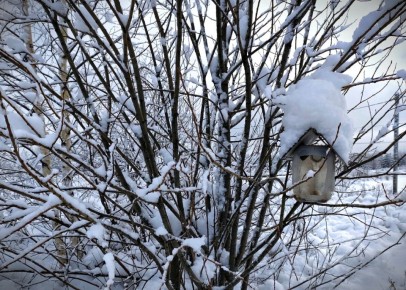 ������ ������: ��� �������� ������������ �������� �� �������