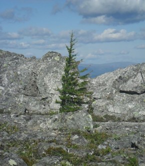 Заповедники на пересмотре: как Минприроды хочет защитить 12% земли и что это поменяет у вас