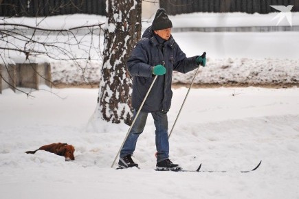 ��� ������ ���������� ������� � ������� � 2026 ����: ����������� ������� ��� �����������