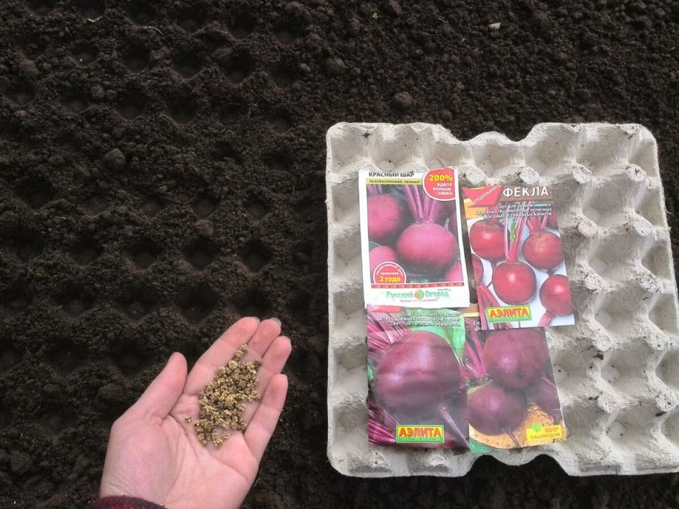 �������� ����: ��� ������ ������ � ������ ����� � �������� ������ ������