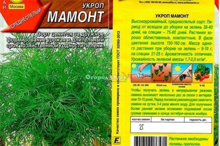 Укроп Мамонт: секреты успешного выращивания и уникальные особенности
