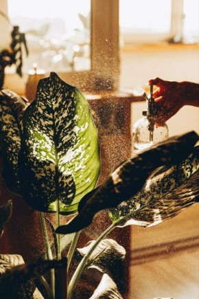 ������� ��������� ��������: ��� �������� ����������� ������� �� ����� ��������