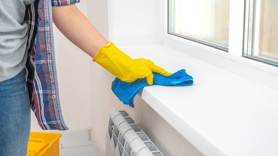 ��� ������� ������� ����������� ������������: ����������� ������ � �������