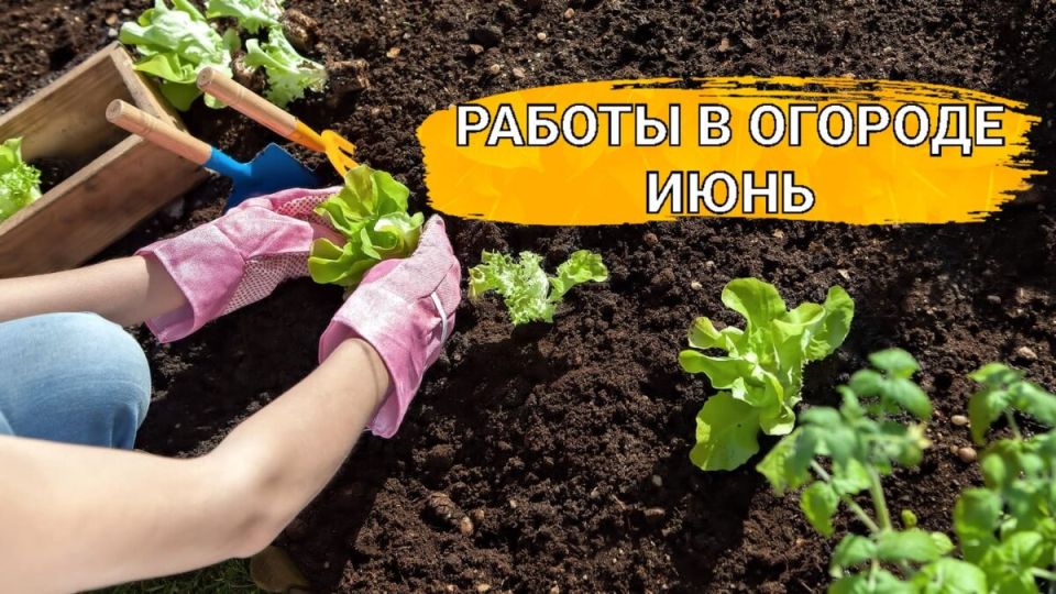 ������� ���� � ����: ��� ����������� ����� �������