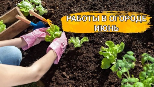 ������� ���� � ����: ��� ����������� ����� �������