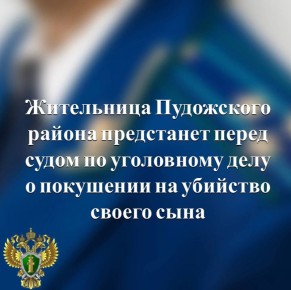 В прокуратуре Пудожского района утверждено обвинительное заключение по уголовному делу в отношении 69-летней местной жительницы