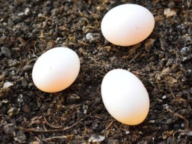 ��� ���� � ��������� ������ ������� ��������� ��������� ��� ������ ����