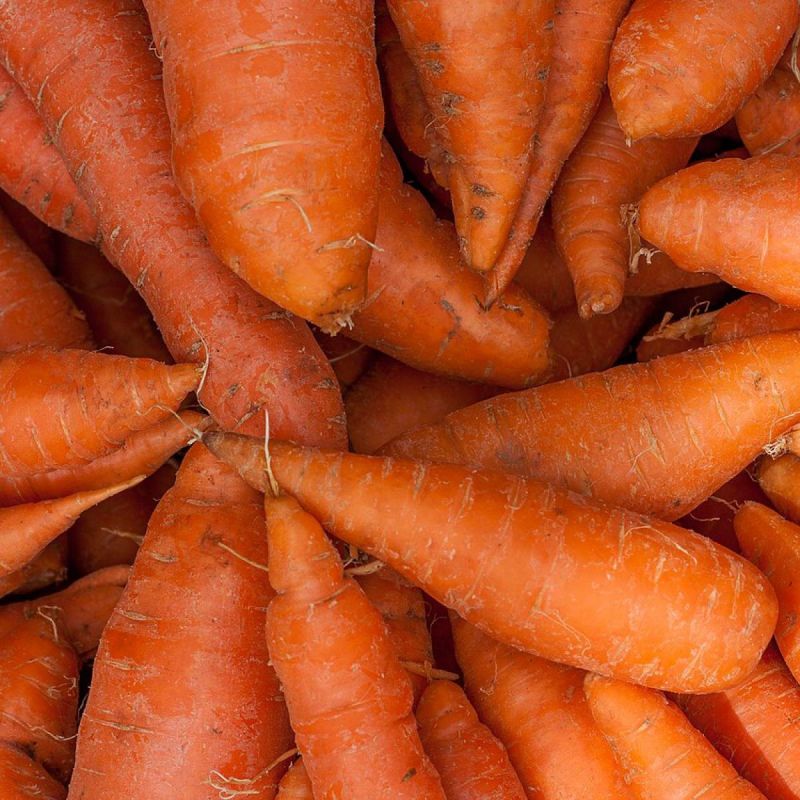 ��� ��������� ��������� �������: ��������� ���� ���������������� ������