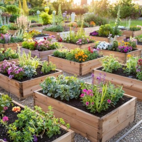 ������-�����: ������� ���������� ������ �� ����� ��������