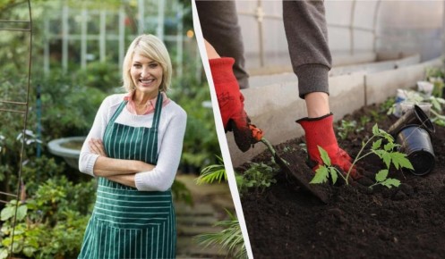 Как правильно подготовить рассаду в январе 2026: эффективный посевной календарь