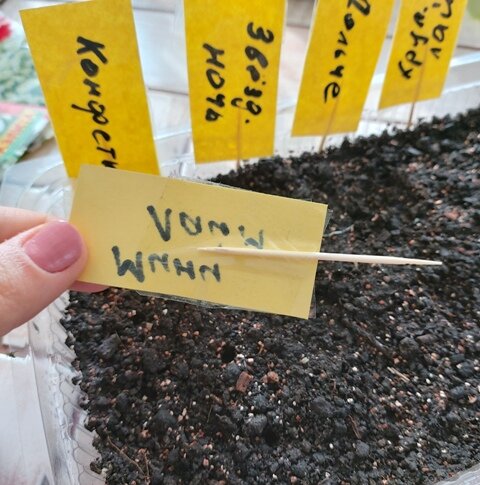 Как удобно маркировать рассаду: советы для огородников