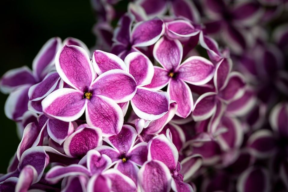 ������: ��� ��������� �������� ������ ������� � ����