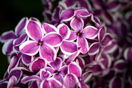 ������: ��� ��������� �������� ������ ������� � ����