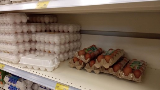 Секреты выбора яиц: как не попасться на уловки магазинов