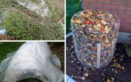 Зимняя защита растений: как подготовить сад к холодам