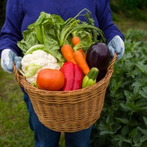 ��� ������ �� ������������ ������ �� �������� ���������