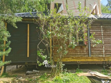 ����� ������� ����� �������: ��� ��������� ������� � ����