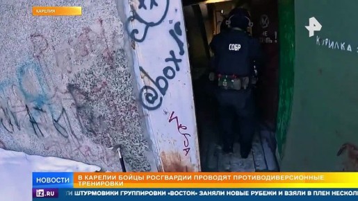 Масштабные противодиверсионные учения Росгвардии проходят в Карелии