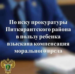 Прокуратура Питкярантского района провела проверку по обращению матери несовершеннолетнего, пострадавшего от нападения безнадзорной собаки