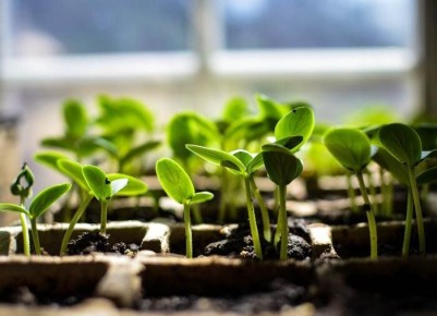 ��� ����� ����� � �������� �������: ������ ��� ���������