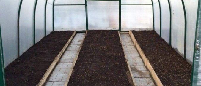 Эффективная дезинфекция теплицы: советы для садоводов