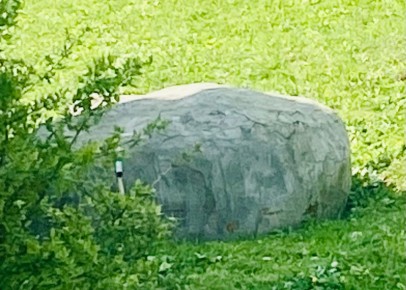 ��� ������� ��������� ��� � ������� ������������ ���������