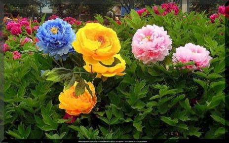 ����� ��� ������ ����: ����� ����������� �����, ������� �� ������� ������������