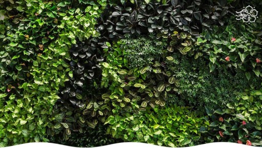 ������������ ����������: ��� ����������� ������� � ������� �������� ��������