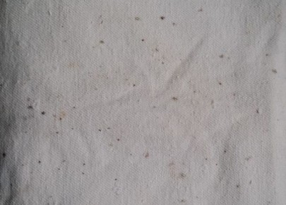 ����������� ������� �������� ������� � ������ ��� �����������