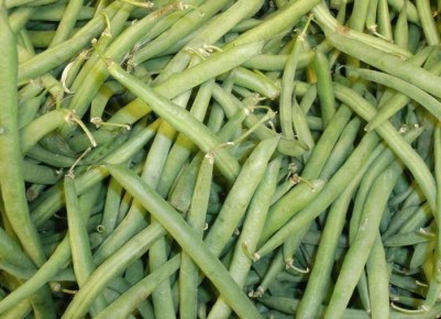 ����� �������� ������: ������� ��������� ������