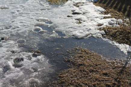 ��� �������� ��� �� ��������� ����������