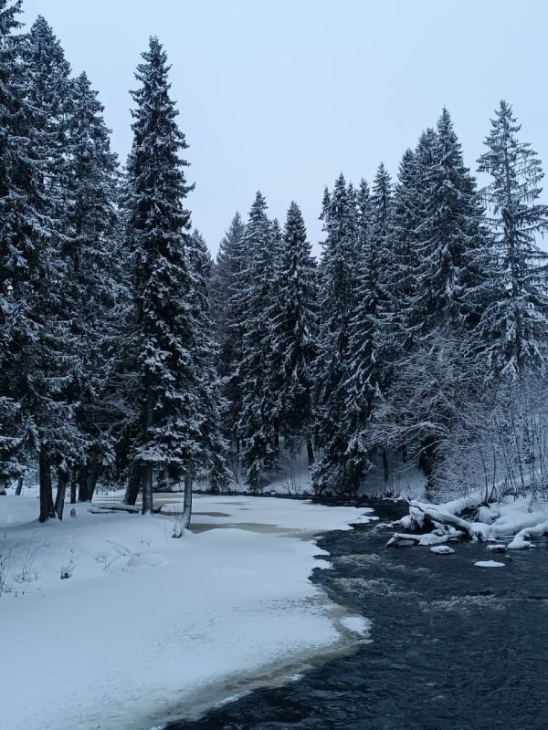 ��������� ���������. ���� ��������