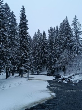 Пасмурная Лососинка. Фото редакции