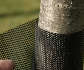Выбор защиты для деревьев: металлическая сетка или лапник?