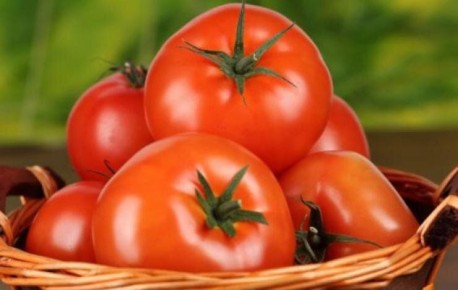 Новинки сибирской селекции: лучшие сорта томатов