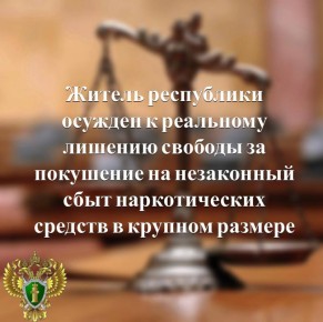 С учетом позиции государственного обвинителя суд приговорил жителя Кондопоги к 7 годам лишения свободы в исправительной колонии строгого режима со штрафом в размере 180 тыс