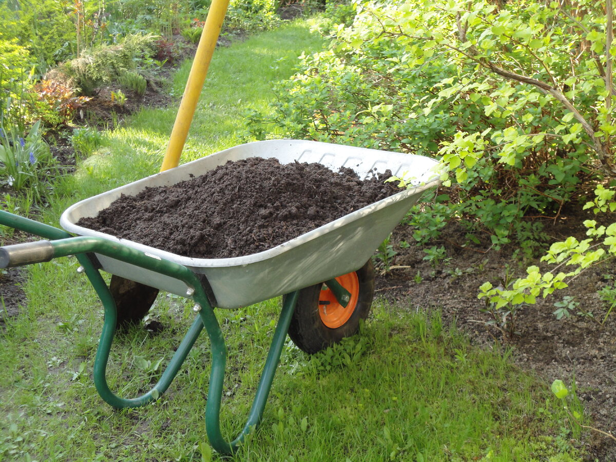 Как использовать компост: ключевые советы для вашего сада