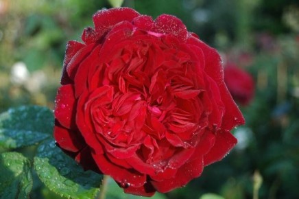 ���������� ������� ����: ������ ������ ������� �������� ������ ����������